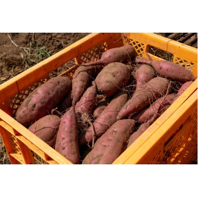 ねっとり食感 干し芋紅はるか 150g×4パック【配送不可地域：離島・沖縄県】