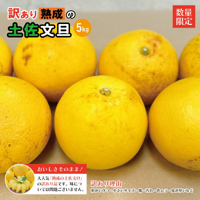 【ふるさと納税】【訳あり・数量限定】熟成の土佐文旦5kg 家庭用 訳あり 訳アリ わけあり 大人気 リピーター 予約 旬 文旦 ぶんたん ブンタン フルーツ 果物 柑橘 四万十市 四万十 しまんと 高知 農家直送 お取り寄せ 送料無料【2026年3月上旬～無くなり次第終了】25-553