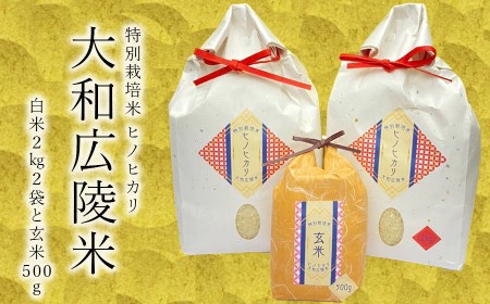 【令和7年度産】特別栽培米　奈良県広陵町産ヒノヒカリ　白米2kg×2　玄米500gセット/// ひのひかり ヒノヒカリ 玄米 特別栽培米 玄米粉 セット 米 お米 仕送り ギフト 贈答 農家 直送 奈良県産 奈良県 広陵町　