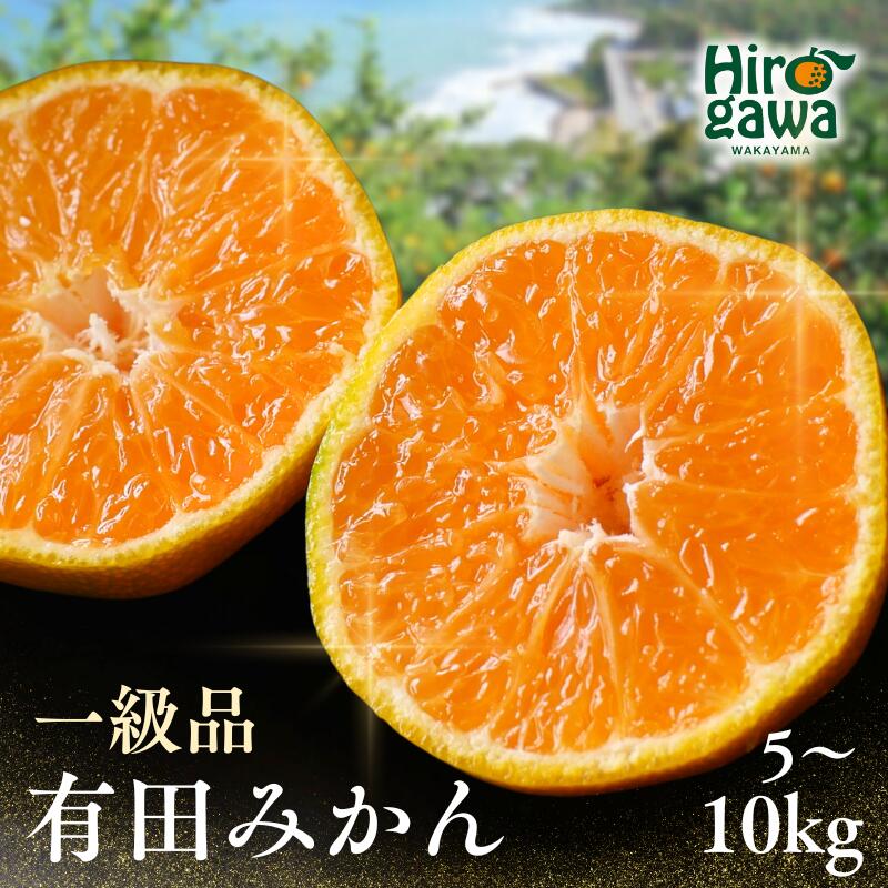 【ふるさと納税】 有田みかん 5kg or 10kg 和歌山 広川町産 ※1月上旬～翌年2月下旬頃に順次発送予定 / 和歌山 有田 広川 みかん ミカン 柑橘 果物 くだもの ギフト フルーツ 果実