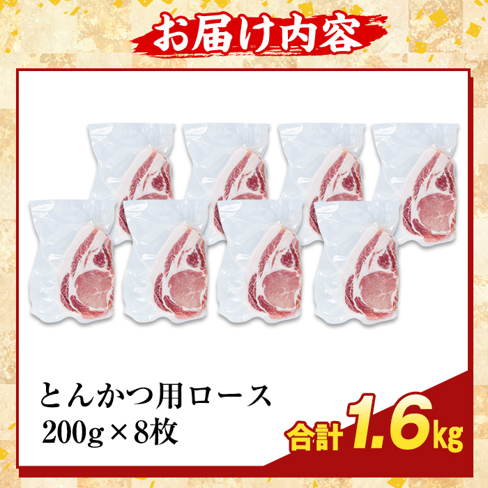 K-382-C 鹿児島県産霜降りトロ豚 ロースとんかつ用(計1.6kg)【KNOT】霧島市 肩ロース 豚カツ トンカツ 豚肉 国産 鹿児島県産 肉 精肉 小分け