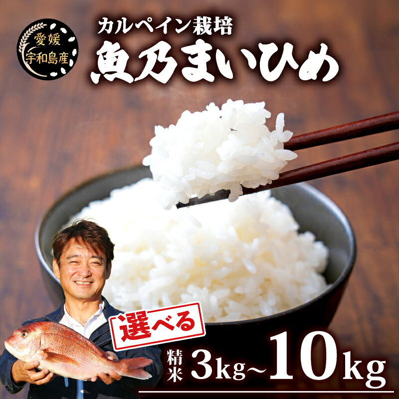【ふるさと納税】 令和8年産 新米 コシヒカリ 3kg~ 10kg ブランド米 魚乃まいひめ カルペイン栽培 選べる 容量 計 3kg 〜 計10kg (5kg × 2袋) 精米 秀長水産 令和8年9月25日以降発送 米 環境保全 鯛 真鯛 こめ コメ 備蓄 産地直送 国産 愛媛 宇和島