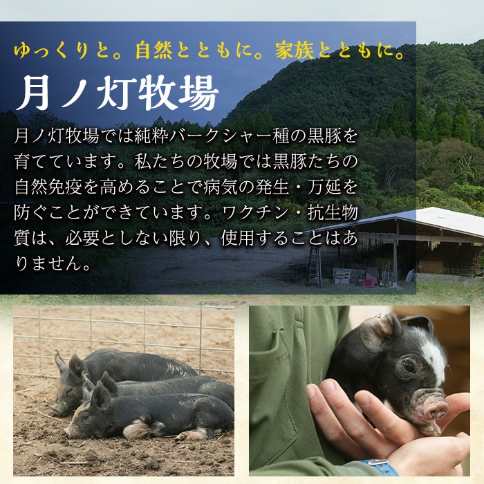 a1111 ＜保存料・発色剤・結着材・合成着色料 無添加＞月ノ灯牧場直送！鹿児島県産黒豚ソーセージ3種盛り合わせ計12本(ソーセージ4本・ハーブソーセージ4本・チョリソー4本)【pig village company】 姶良市 国産 豚肉 黒豚 ソーセージ セット 鹿児島