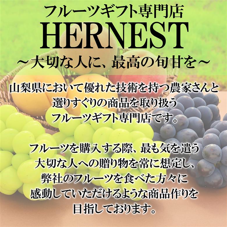 山梨県南アルプス市産　キウイ定期便　約2ｋｇｘ5回 ALPAH042