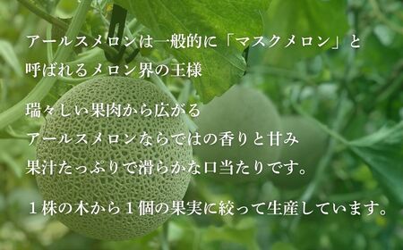 感謝の気持ちを込めたサプライズメロン《数量限定》 アールスメロン（「ありがとう」の文字入り）１玉1.5㎏以上 化粧箱入り ８月上旬 より順次発送 先行予約 マスクメロン 果物 フルーツ プレゼント 贈