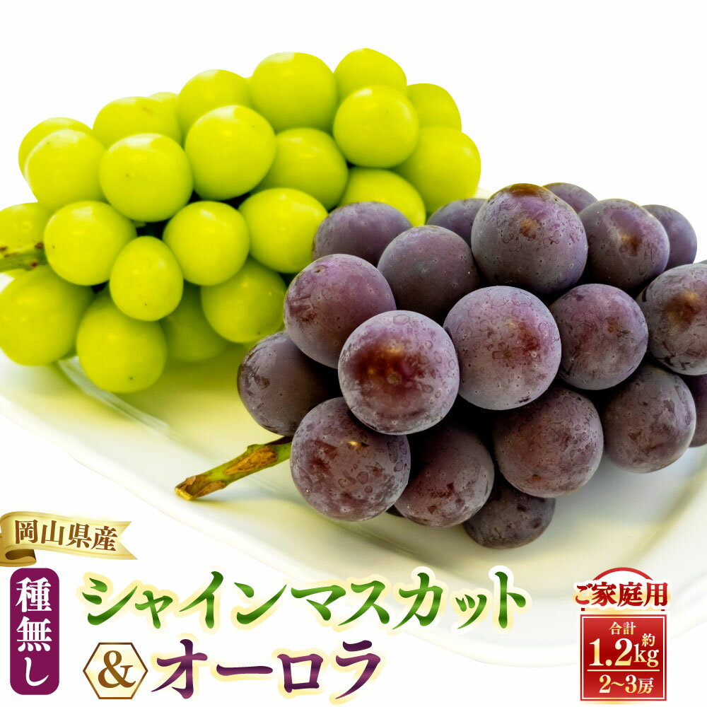 【ふるさと納税】 【 ご 家庭 用 】 シャイン ＆ オーロラ 1.2キロ 【 2026年9月上旬から10月上旬頃発送予定 】 果物 くだもの フルーツ ぶどう ブドウ 葡萄 シャインマスカット 食べ比べ セット 大粒 甘味が強い 甘い 果汁 食べ応え 岡山県 美咲町 送料無料