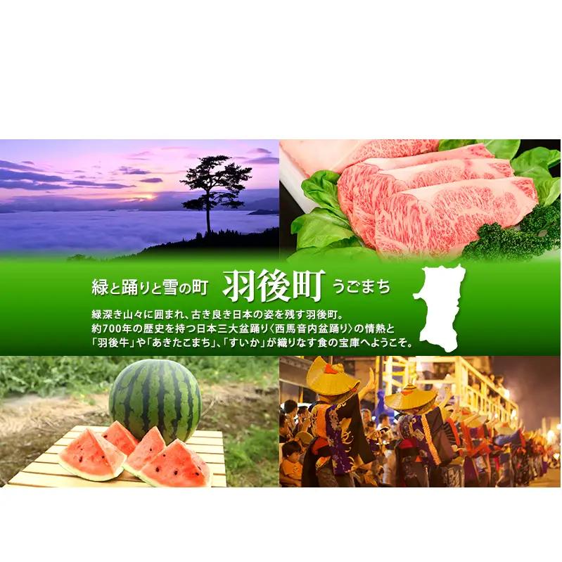 100日熟成の極上のお供！伝統いぶりがっこ「金の蔵」お手軽4種詰め合わせC［須藤健太郎商店］【 漬物 漬け物 いぶりがっこ 燻製 大根 だいこん スモークチーズ ふりかけ ご飯のお供 おつまみ 家飲み