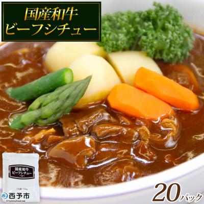 ふるさと納税 西予市 <国産和牛ビーフシチュー 20パック>レトルト シチュー カレー 防災 福真
