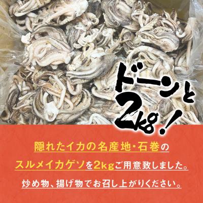 ふるさと納税 石巻市 訳あり 石巻産スルメイカゲソ 2kg 7月配送 冷凍 国産 いか 下足 おつまみ ゲソ天 石巻市 |  | 01