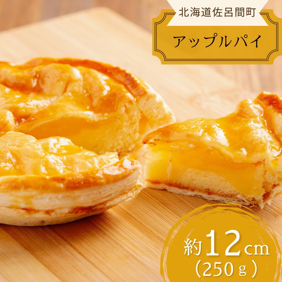 【ふるさと納税】オホーツクで焼き上げる絶品の手作り アップルパイ 12cm 【 ふるさと納税 人気 おすすめ ランキング 菓子 焼菓子 アップルパイ パイ 杏 あんず りんご 甘い 美味しい 北海道 佐呂間町 送料無料 】 SRMJ006