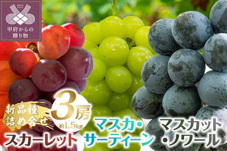 【2025年発送分】植原葡萄研究所の特選房選り詰め合せ