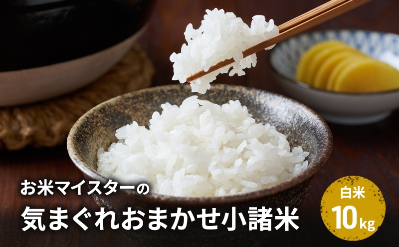 
                  お米マイスターおすすめ小諸米 精米 10kg 信州 長野 ごはん ご飯 コメ コシヒカリ あきたこまち つきあかり 風さやか ひとめぼれ ゆうだい21 [№5915-1775]
                