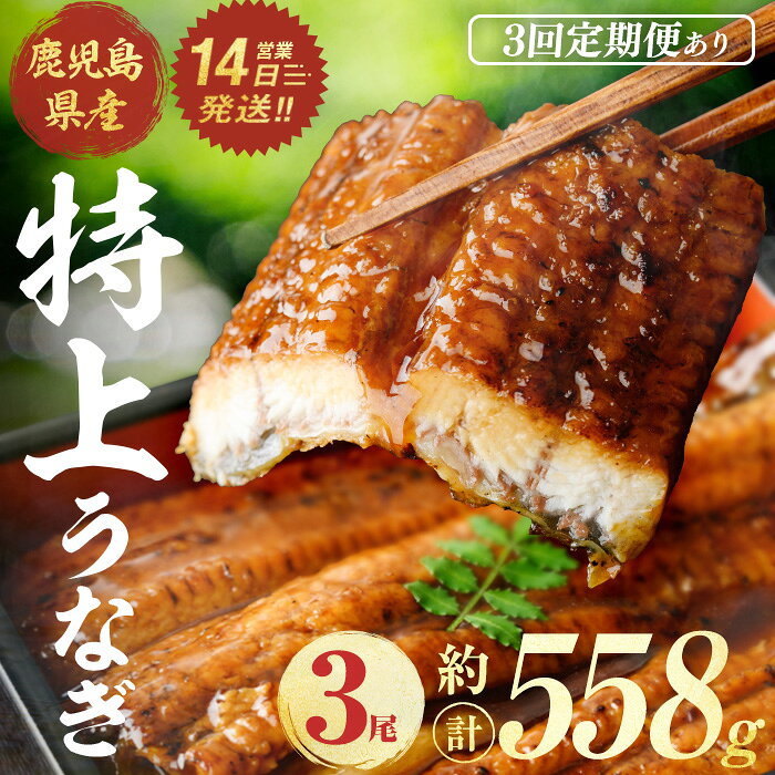 【ふるさと納税】＜配送回数が選べる！＞鹿児島県産うなぎ蒲焼 (計約558g・約186g×3尾 / 定期便隔月3回) 鰻 ウナギ うなぎ うな重 鹿児島県産 冷凍 【株式会社薩摩川内鰻】