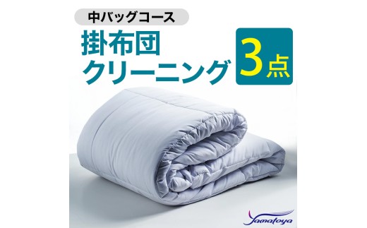 掛布団クリーニング (3点パック) 中バッグコース 3点 丁寧 丸洗い セミダブル 掛け布団 寝具 こたつ 丸洗い クリーニング シーツ 高品質ヤマトヤクリーニング 糸魚川 帰省 年末年始 実家 寝具 布団クリーニング