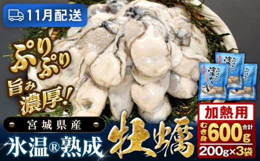 【11月配送】 加熱用 氷温熟成かき 200g × 3p むき身 冷凍 牡蠣 小分け むき カキ 冷凍かき 加熱用 加熱 宮城 小分け 冷凍 バラバラ冷凍 冷凍カキ かき 牡蠣 海鮮 魚介 貝類 海の幸 BBQ 家庭用 まるたか水産 宮城県 石巻市