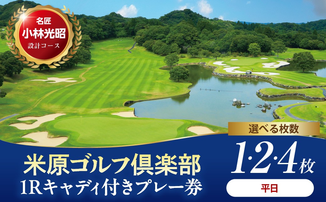 
                  【選べる枚数】米原ゴルフ倶楽部 平日 1R キャデイ付プレー券（7～9月、1～3月昼食付） 1名様券 1～4枚
                