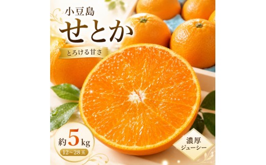 
小豆島　せとか　約5kg
