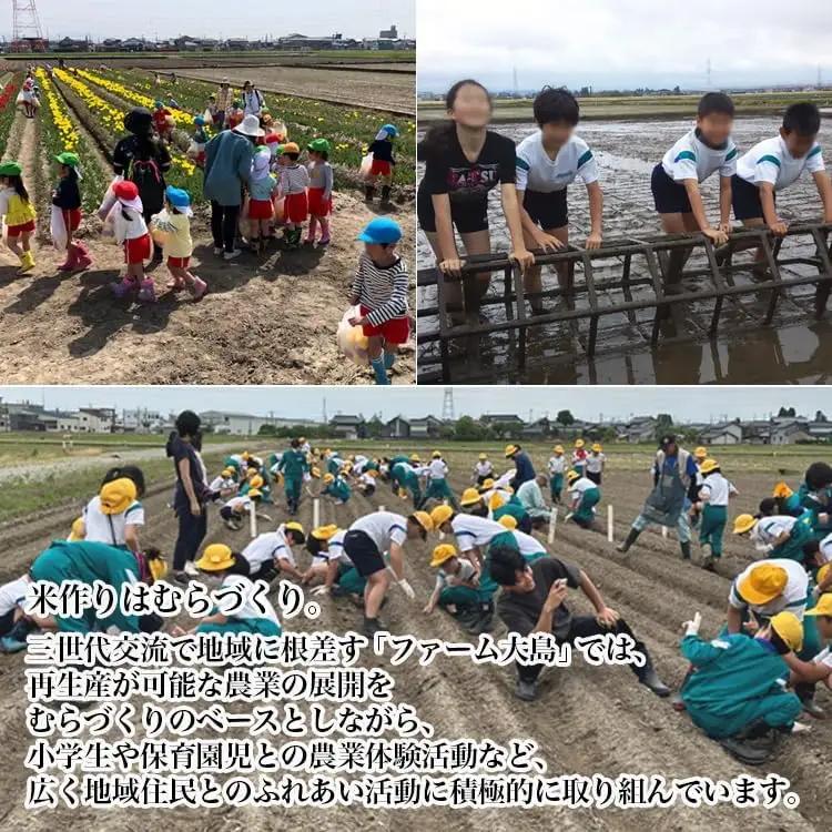 【R8年度産米】総理大臣賞受賞 人気のブランド米「富富富」10kg（5kg×2）【精米】｜ お米 令和8年産米 銘柄米 こめ 小分け 5kg 10kg 5キロ 10キロ 三世代交流 白米 富山県 射水