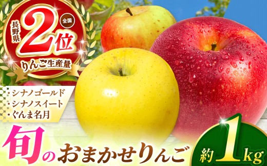 【2026年先行予約】 信州産 塩尻エールりんご！農家さん応援♪♪ 旬のおまかせりんご 約1kg(3～5玉)　シナノゴールド・シナノスイート・ぐんま名月から旬のりんごをお届け！ 【10月中旬以降発送予定】 | 果物 くだもの フルーツ 林檎 りんご リンゴ シナノゴールド シナノスイート ぐんま名月 おまかせ 訳あり 長野県 塩尻市