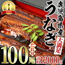 【ふるさと納税】＜大満足＞東串良町のうなぎ蒲焼(無頭)(120g×100尾・計約12000g・タレ、山椒付)うなぎ 高級 ウナギ 鰻 国産 蒲焼 蒲焼き たれ 鹿児島 ふるさと 人気【アクアおおすみ】【4504306a】