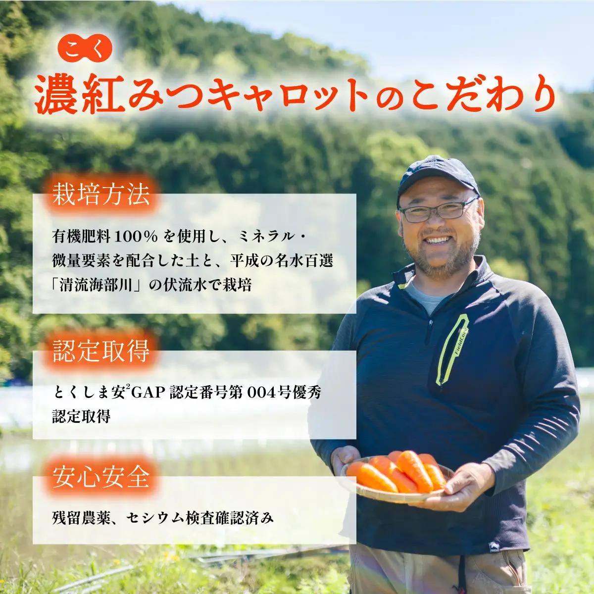 にんじん 濃紅みつキャロット 5kg 春にんじん 無選別 人参 ニンジン carrot 