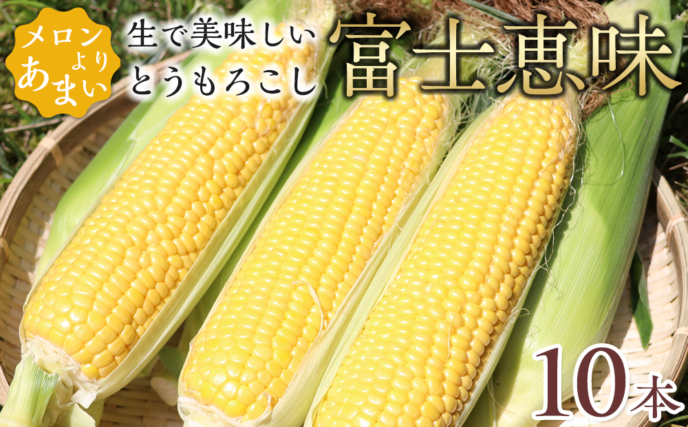 【2025年7月発送】 恵味ゴールド メロンより甘い！生で美味しいとうもろこし富士恵味１０本セット【先行予約・数量限定】 スイートコーン