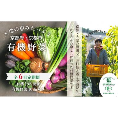 ふるさと納税 京都市 ◆全6回定期便◆【つくだ農園】《有機JAS認証 有機野菜10品入り》