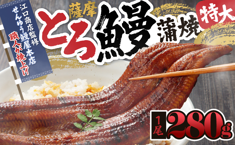 2053-1 薩摩とろ鰻蒲焼特大一尾280g【江口商店監修】　KN084-003