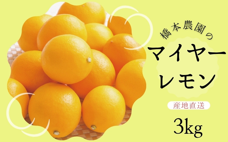 
            【先行予約】橋本農園のマイヤーレモン 3kg【2024年12月初旬から2025年1月初旬までに順次発送】 / レモン マイヤーレモン 檸檬 先行予約
          