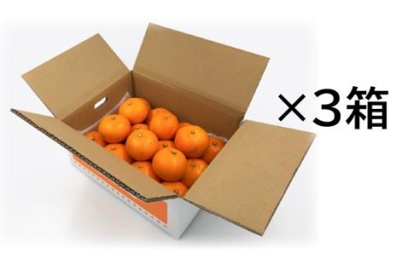 【11月中旬から発送予定】愛果28号＜小玉＞約9kg （ 愛媛産 愛媛県産 国産 愛媛みかん 愛媛蜜柑 愛媛ミカン みかん ミカン mikan 蜜柑 柑橘 フルーツ 果物 くだもの お取り寄せ 産地直
