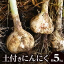 【ふるさと納税】土付きにんにく 約5kg【2025-5月上旬～2025-6月中旬配送】 | 国産 にんにく 野菜 肉厚 濃厚 土付き 新鮮 産地直送 鮮度抜群 風味抜群 旬 旬の野菜 季節の野菜 季節 農作物 農産物 生鮮食品 お取り寄せ おすそ分け 自宅用 家庭用 高松市産 瀬戸内　生にんにく