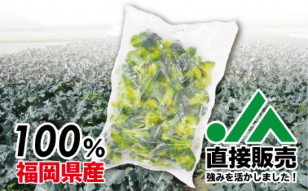 福岡県産 冷凍ブロッコリー1kg（1kg×1袋）[H2256]