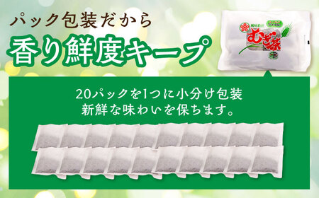 【お茶】お茶パック（麦茶 20パック×15袋入）[AGCP601]