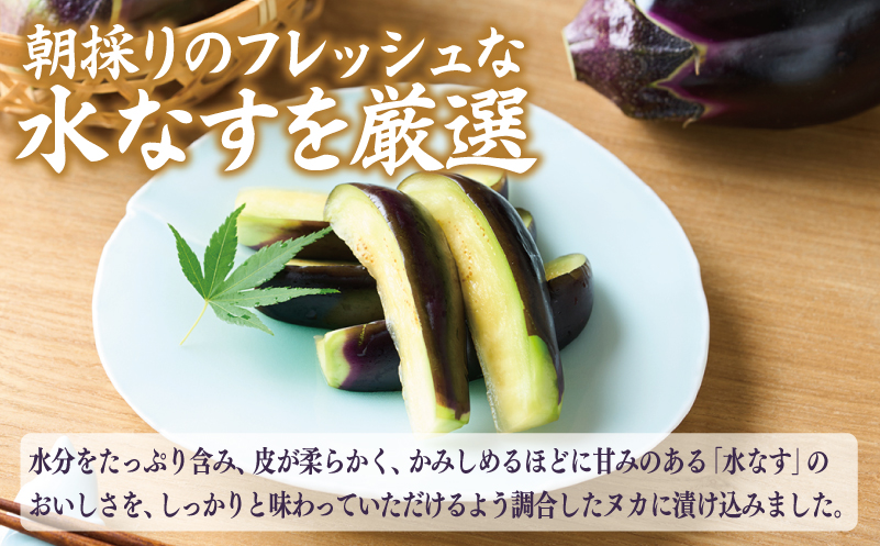 俺の浅漬け（水なす浅漬け） 6個入り【新鮮 朝採り 泉佐野産 水ナス 水茄子】 G1709