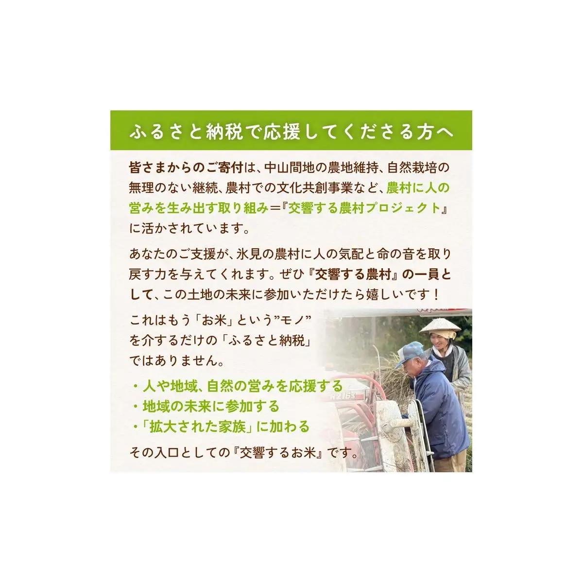 【交響するお米】［古代米ミックス］自然栽培 朝紫&アクネモチ 250g×4袋（ 令和7年産 ） 富山県 氷見市 |  移住農家が里山から直送 米 古代米 紫黒米 緑米