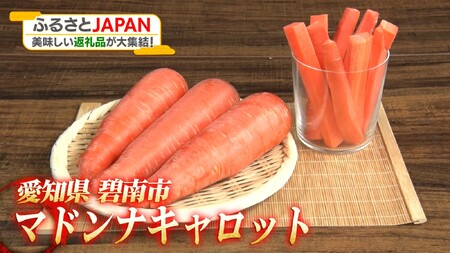 ＜フジテレビ『どっちのふるさと？』で紹介されました！＞ 訳あり！こどもも食べられる甘み！「マドンナキャロット」 7kg にんじん 人参 ニンジン 野菜 やさい 国産 碧南市 健康 甘い 先行予約 旬 