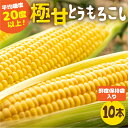 【ふるさと納税】《期間限定》高評価 平均糖度20以上 極甘とうもろこし 10本 以上 鮮度保持袋入り 発送時期が選べる 朝採り 人気 甘い 訳あり ワケアリ 12本 ~ 14本 簡単調理 まるで フルーツ 送料無料 高レビュー 数量限定 2024年 先行予約 楽天限定 10000円 一万円 1万円