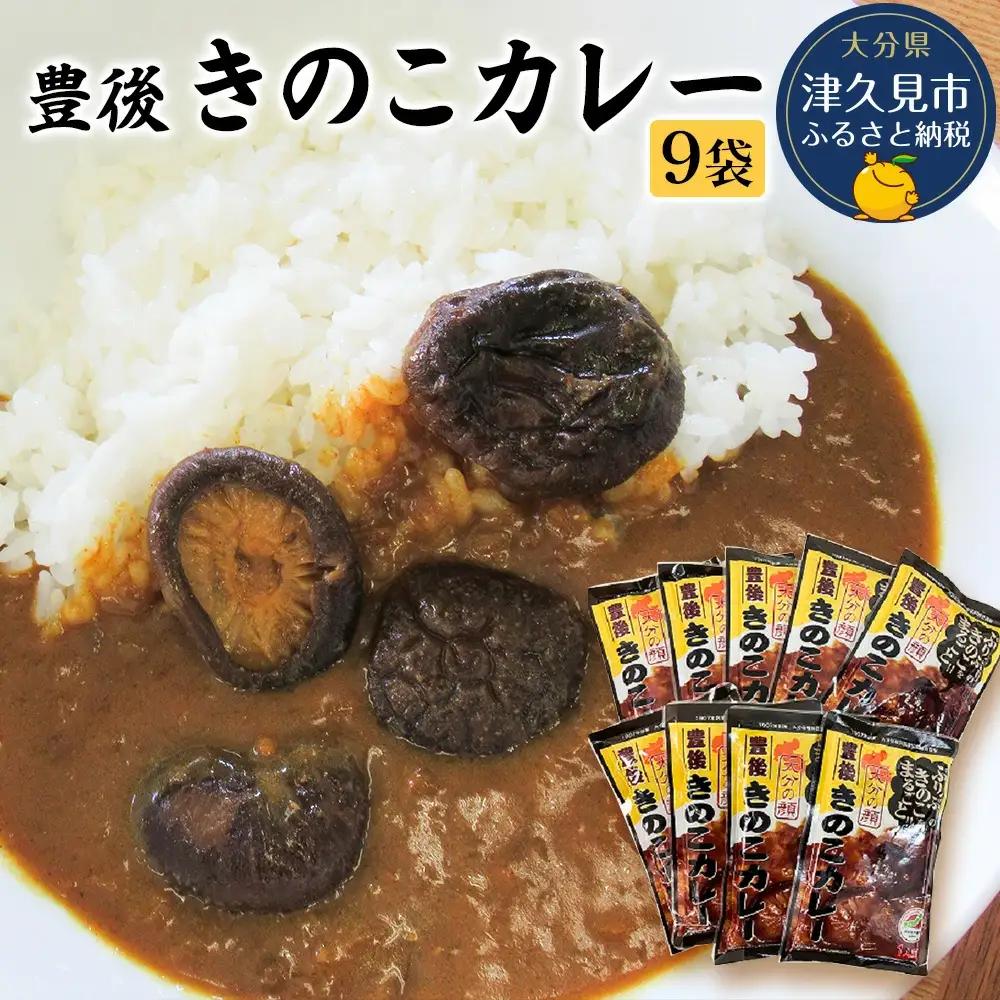レトルトカレー 豊後きのこ レトルトカレー 9食 | 津久見市