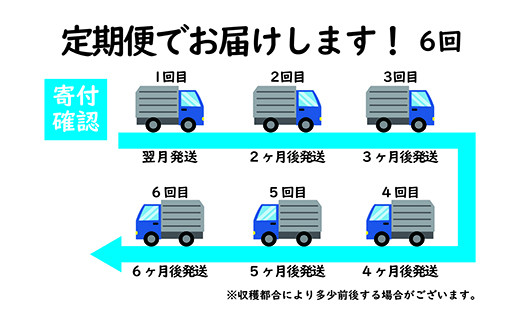 【定期便6回】 熊本県産ひのひかり 5kg×6回 | 米 こめ お米 おこめ 白米 精米 定期 定期便 熊本県 玉名市