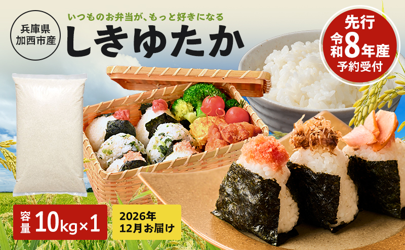 【令和8年産 先行受付】しきゆたか 白米 10kg《2026年12月発送》