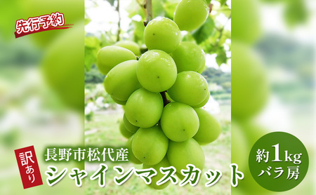 ぶどう  訳あり 長野市松代産 シャインマスカット 約1kg バラ房 葡萄 ブドウ フルーツ 果物 シャイン マスカット デザート おやつ TAKANO農園 信州 