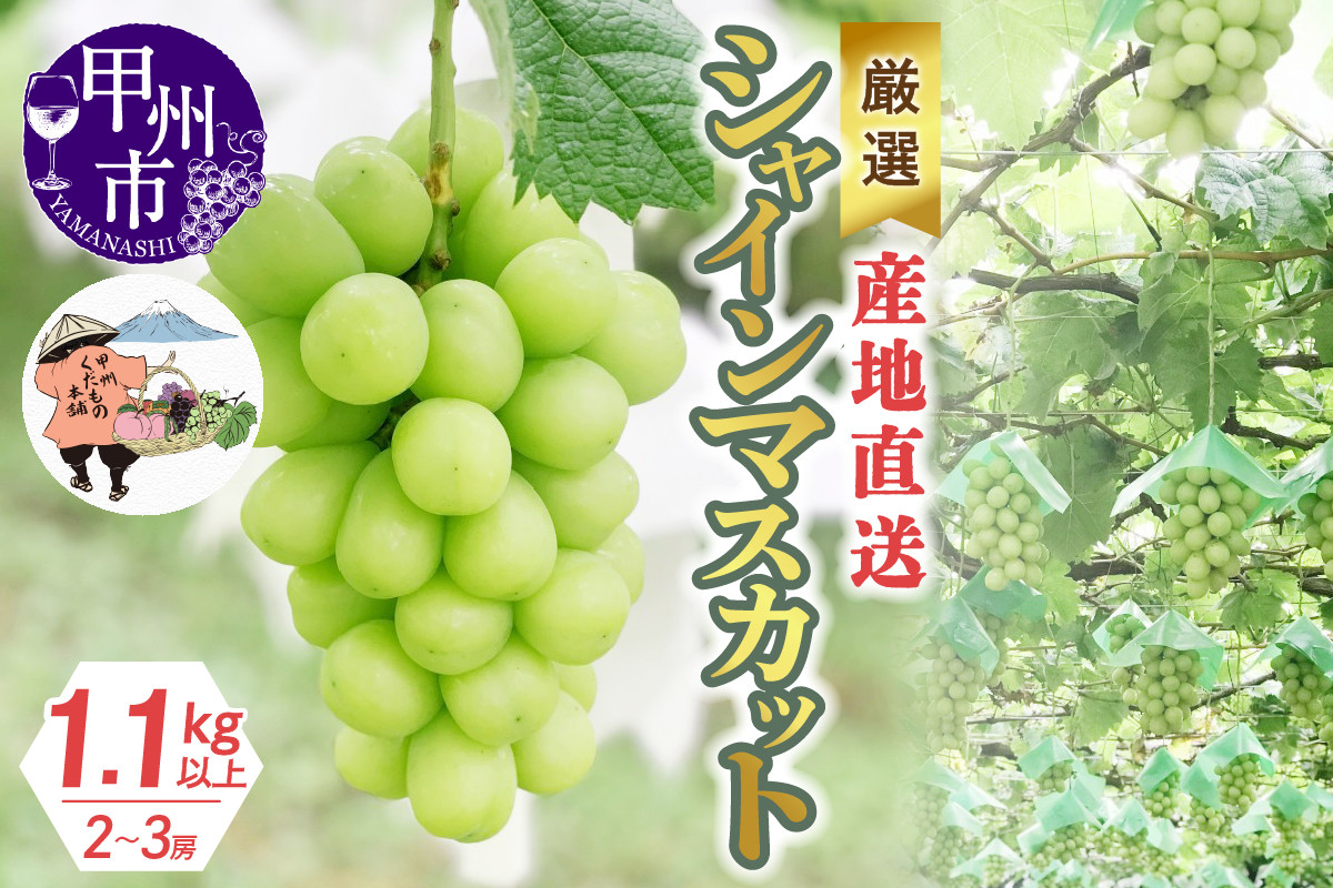 
            【選べる発送年度】厳選！産地直送ぶどう「シャインマスカット」1.1kg以上（2～3房）【2025年発送】【2026年発送】（KKH）B-491 【シャインマスカット 葡萄 ぶどう ブドウ 令和7年発送 令和8年発送 期間限定 山梨県産 甲州市 フルーツ 果物】
          