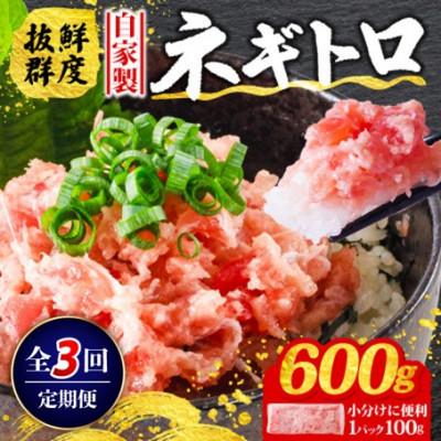 ふるさと納税 松山市 【毎月定期便】ネギトロ 月1回 600g (100g×6パック) 小分け全3回