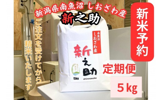 【令和8年産・新米予約・定期便】新潟県南魚沼産　新之助　5kg×３か月　大粒でツヤがあるこれまでにないお米【2026年10月中旬より1ヶ月以内に順次発送予定】