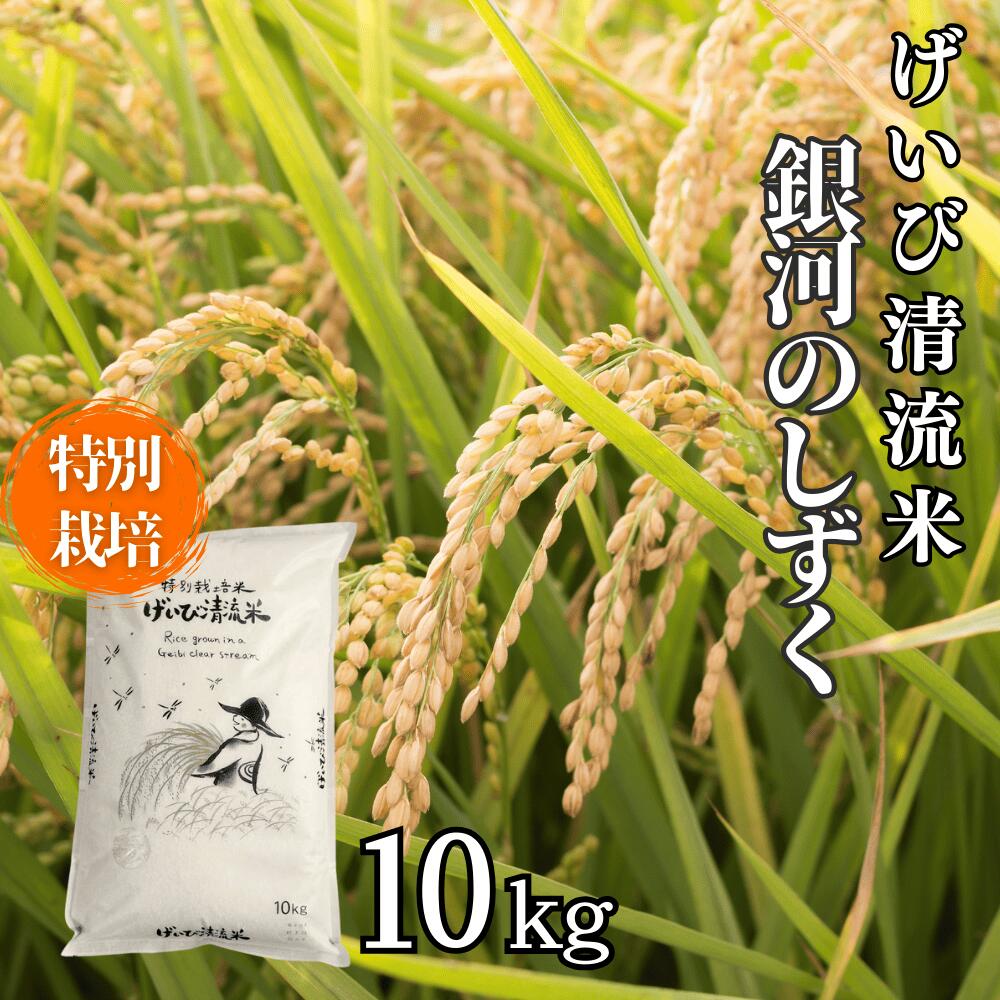【ふるさと納税】《 新米先行予約 》令和7年産 特別栽培 銀河のしずく 10kg お米 いわて コメ 精米 ブランド米 米 ご飯 白飯 ごはん お弁当 おにぎり 袋 東北 国産 岩手県 一関市