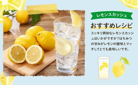 レモン島から贈る安心の国産レモン３kg 産地直送 送料無料 フルーツ ワックス 防腐剤、防かび剤不使用＜1月15日〜発送予定 もりの農園＞