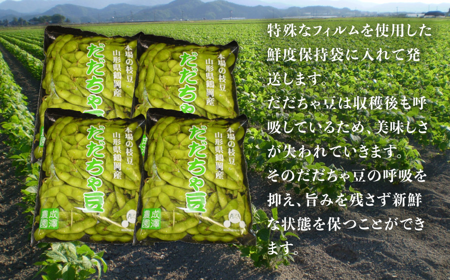 【令和8年産】成澤農園の鶴岡特産 だだちゃ豆 2kg(500g×4袋)　枝豆　山形県鶴岡市　K-831　| だだちゃ豆 枝豆 えだまめ 豆 2キロ 夏の味覚 おつまみ 旬の野菜 期間限定 名産品 ビー