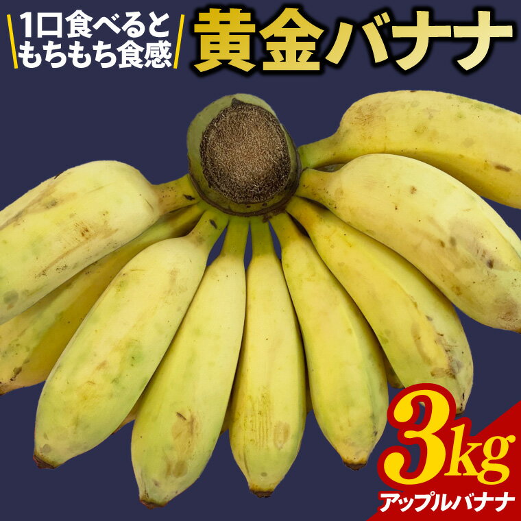 【ふるさと納税】黄金バナナ（アップルバナナ）約3kg(CF001-1)