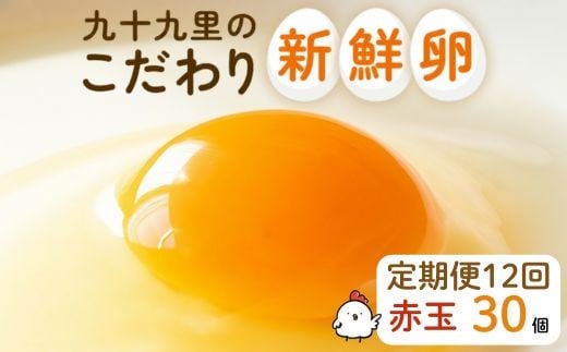 【定期便12回】九十九里ファームこだわりたまご贈答用30個～あおい海・みどりの里～《赤玉》 30個 たまご 定期便 12回 卵 玉子 タマゴ 卵かけご飯 新鮮 旨み 甘み 贈答用 贈答 ギフト 贈り物 千葉県 匝瑳市