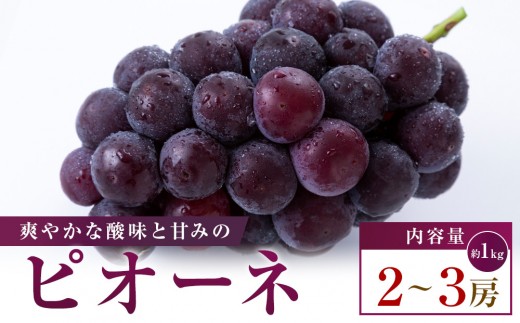 ピオーネ　約1kg(2～3房)